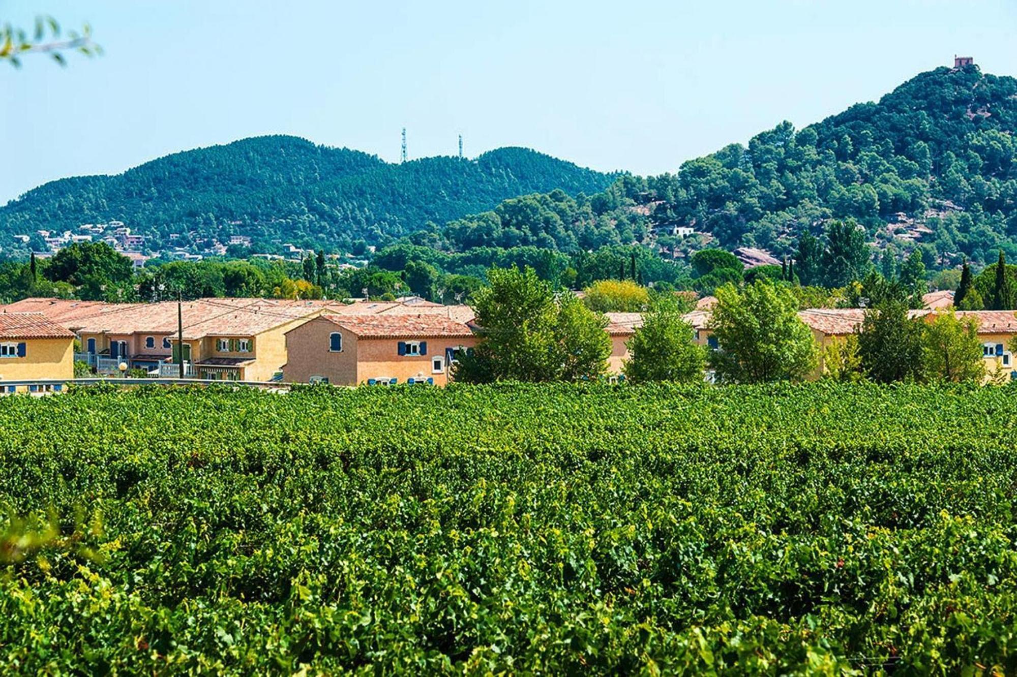 Terraced House With Air Conditioning In The Residence Le Clos Des Oliviers 维多邦 外观 照片